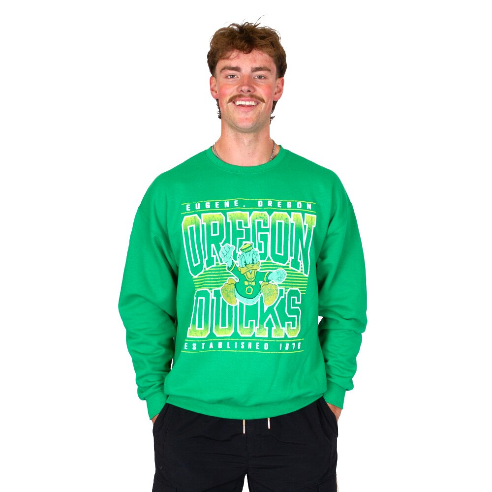 Charging Duck, Blue 84, Green, Pullover, Cotton Blend, Men, Unisex, MCS, Mill dyed, Fleece, 90's style, Sweatshirt, 985507